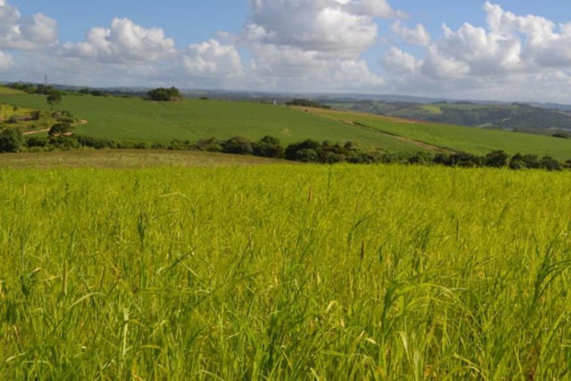 Propriedade rural em Sorocaba — 540 ha — foto 1 de 12