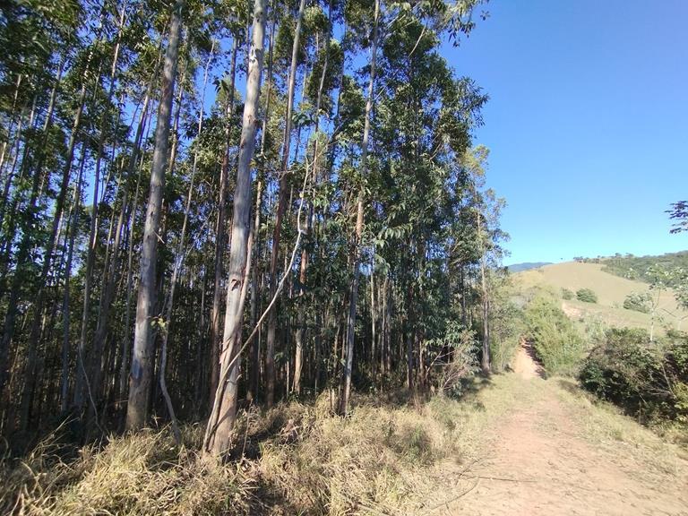 Propriedade rural em Aparecida — 38 ha — foto 1 de 12