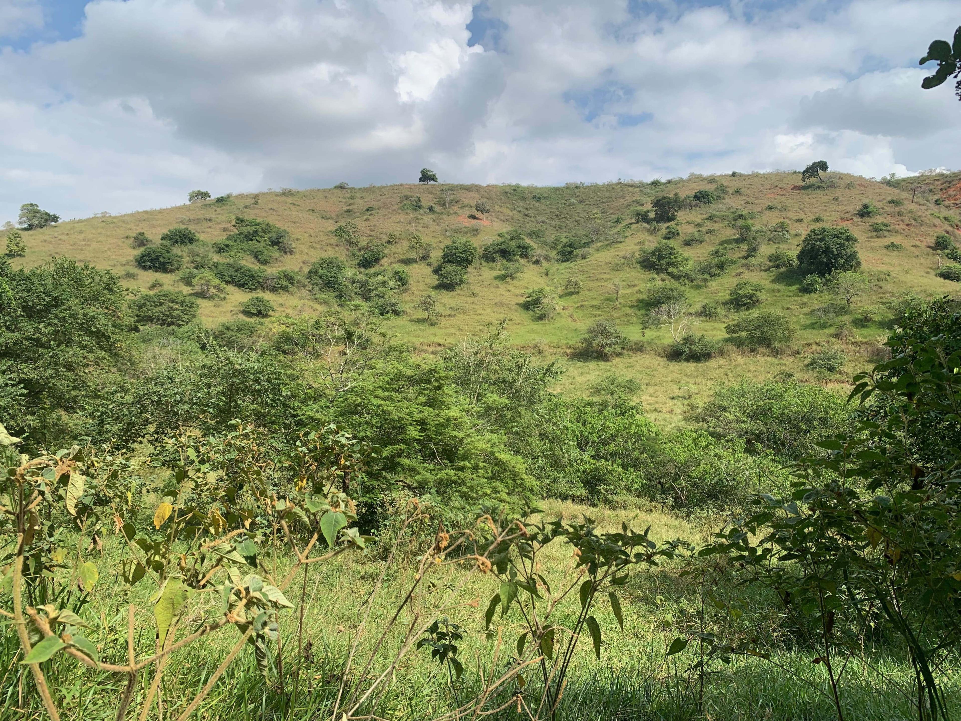 Propriedade rural em Governador Valadares — 10 hectares — foto 1 de 3