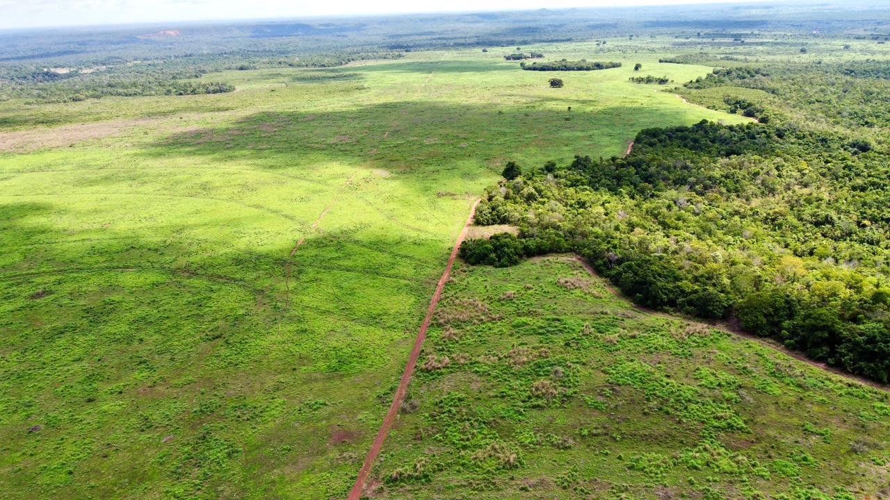 Propriedade rural em Goiatins — 1.093 ha — foto 1 de 12