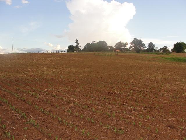 Propriedade rural em Itapetininga — 80 ha — foto 1 de 12