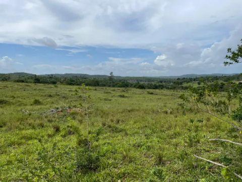 Propriedade rural em Mundo Novo — 2.500 hectares — foto 1 de 12