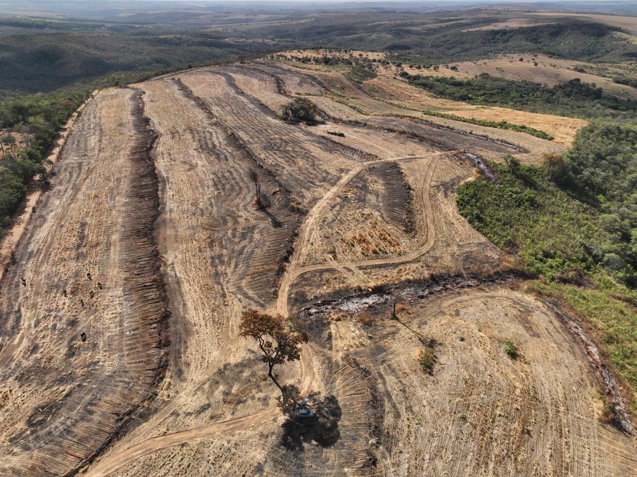 Propriedade rural em Cristalina — 30 ha — foto 1 de 6