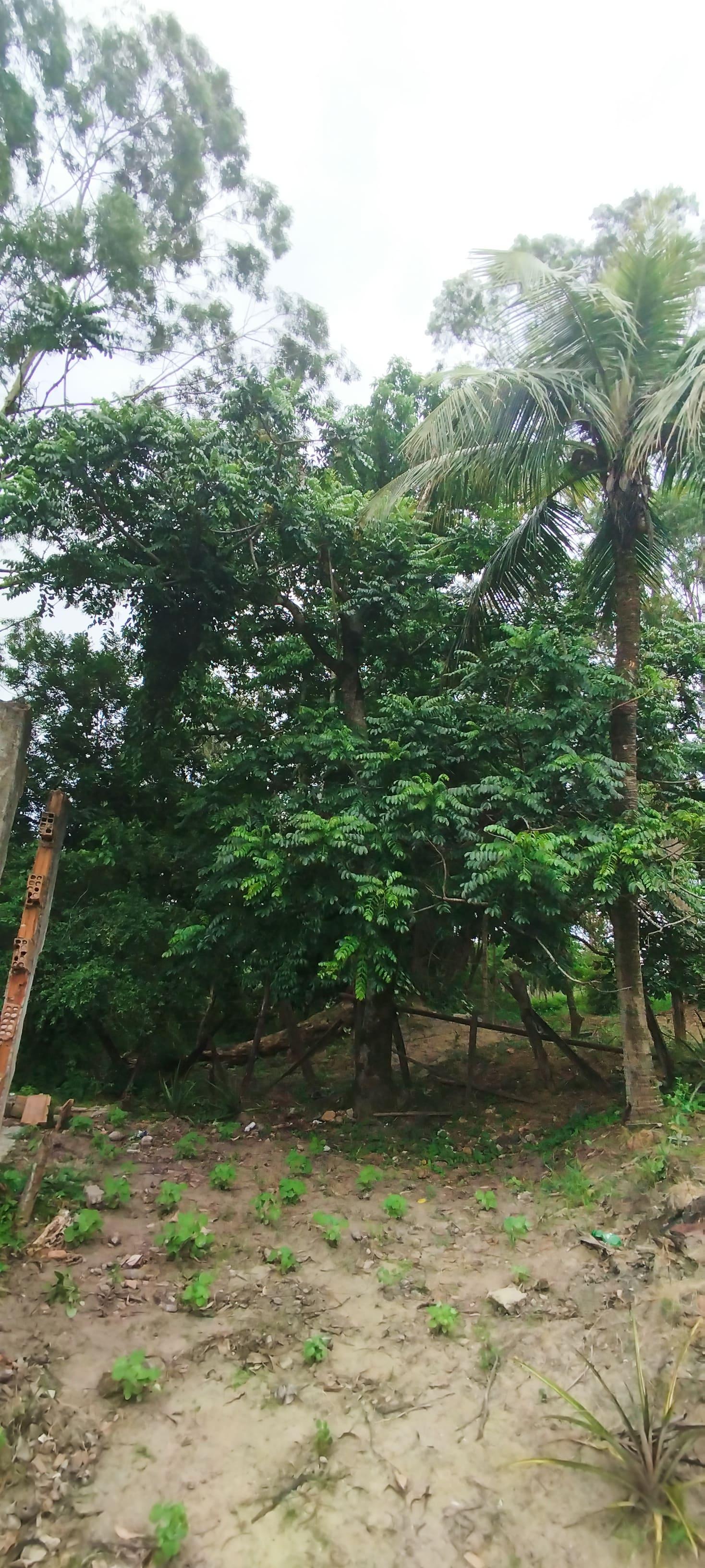 Propriedade rural em Japeri — 4 ha — foto 1 de 12