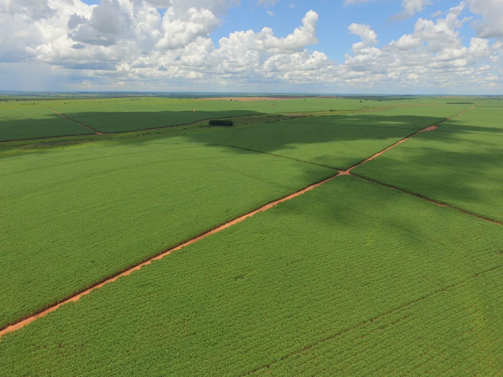 Propriedade rural em Junqueirópolis — 970 ha — foto 1 de 12