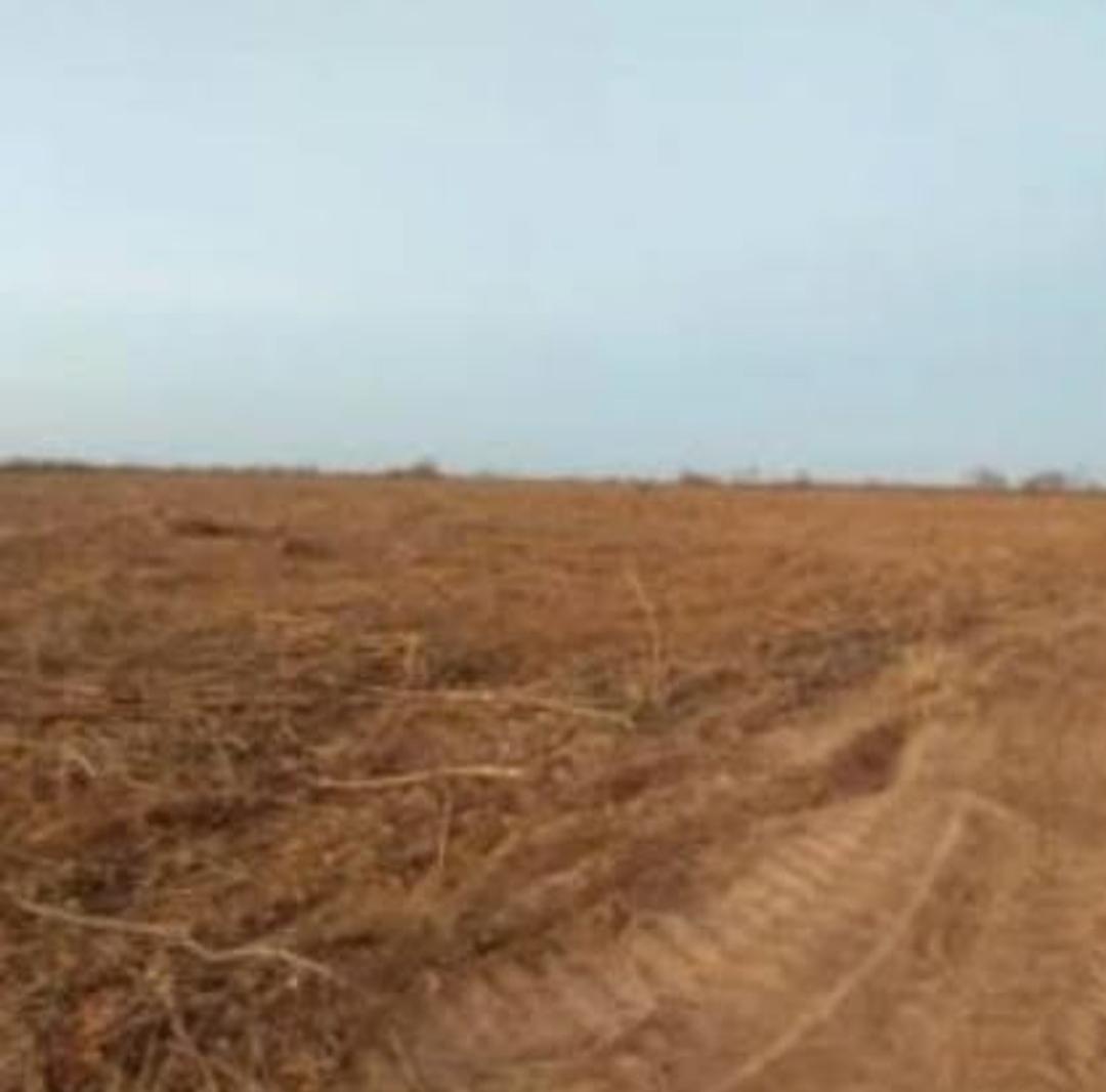 Propriedade rural em Monte Alegre do Piauí — 668 hectares — foto 1 de 6
