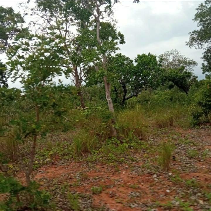 Propriedade rural em Monte Alegre do Piauí — 2.675 ha — foto 1 de 11