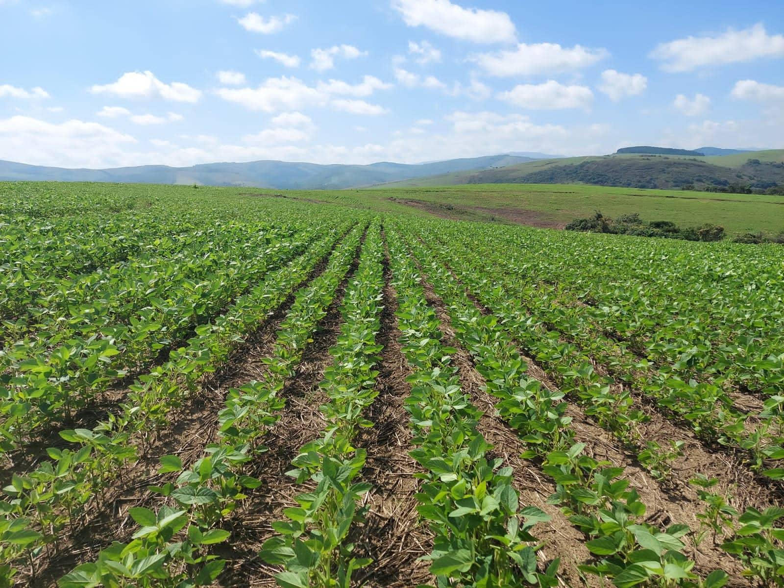 Propriedade rural em Andrelândia — 650 ha — foto 1 de 5
