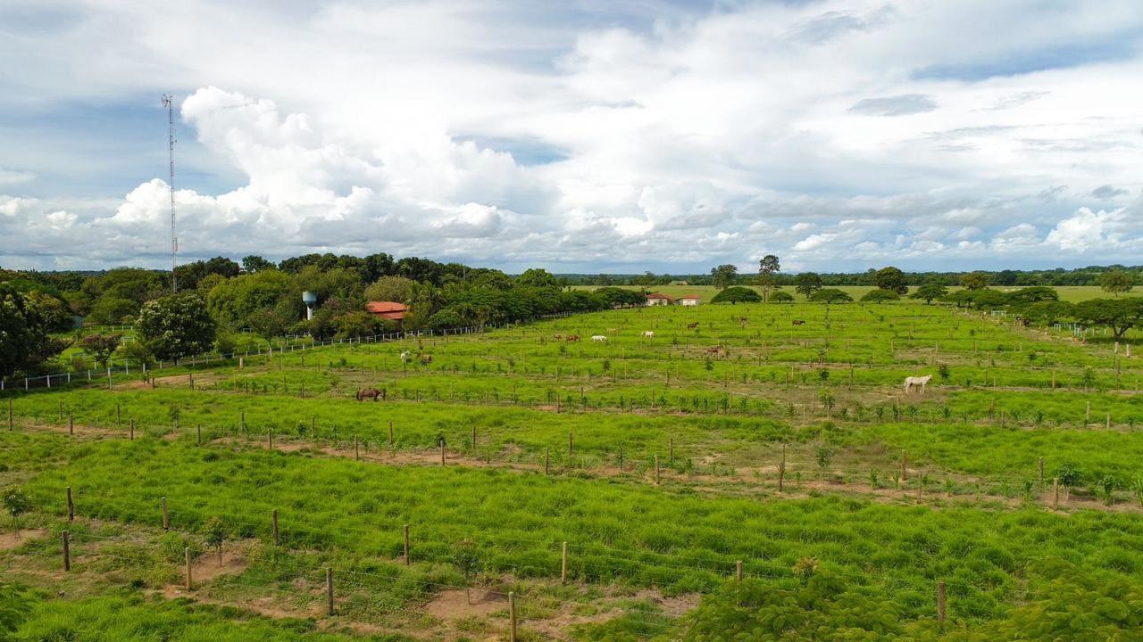 Propriedade rural em Mundo Novo — 7.130 hectares — foto 1 de 12