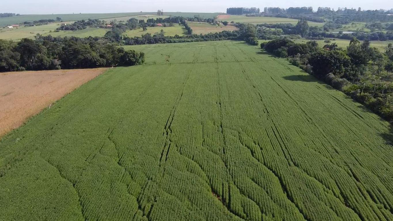 Propriedade rural em Tatuí — 15 ha — foto 1 de 12