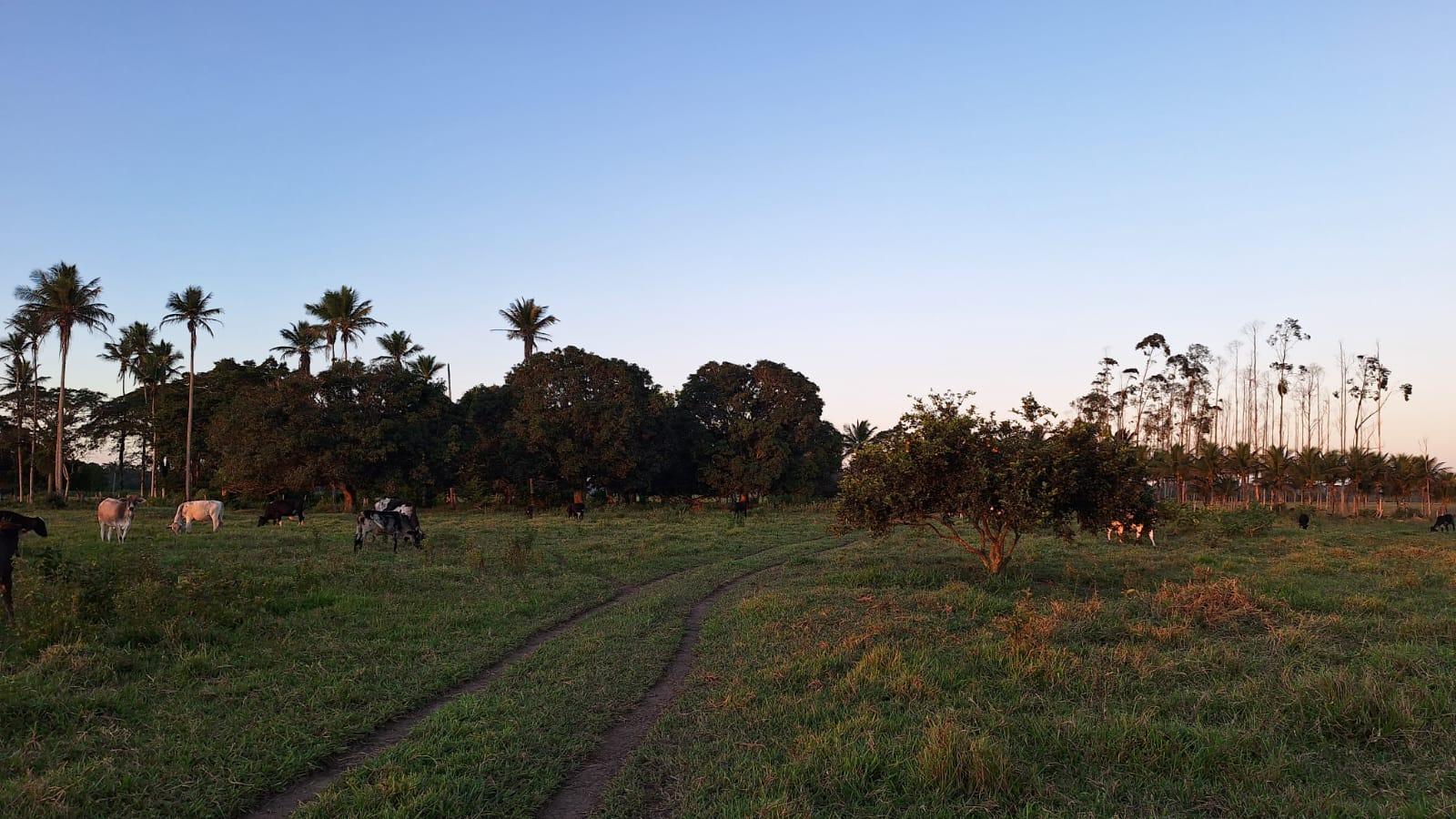 Propriedade rural em Prado — 167 ha — foto 1 de 3