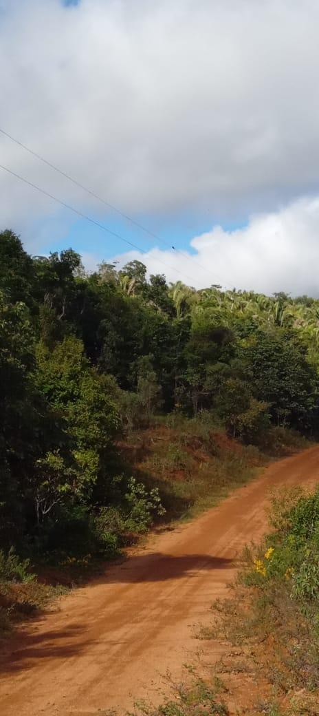 Propriedade rural em Jequitinhonha — 198 ha — foto 1 de 9