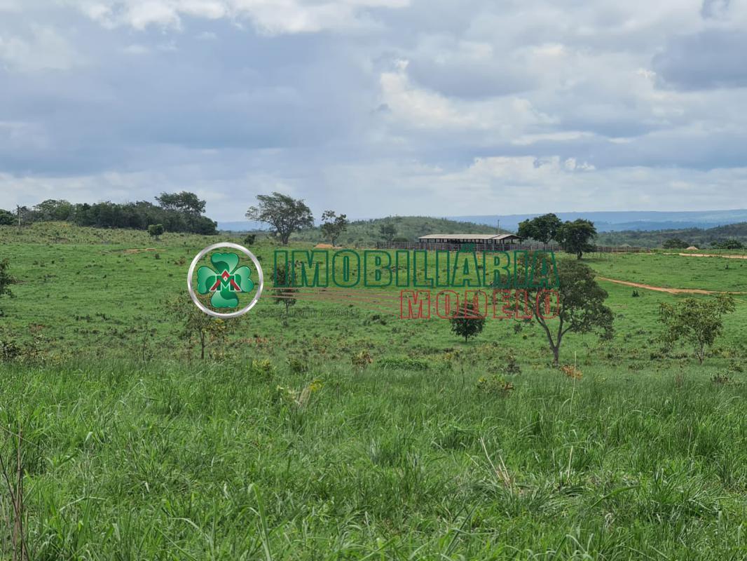 Propriedade rural em Canarana — 1.480 ha — foto 1 de 12