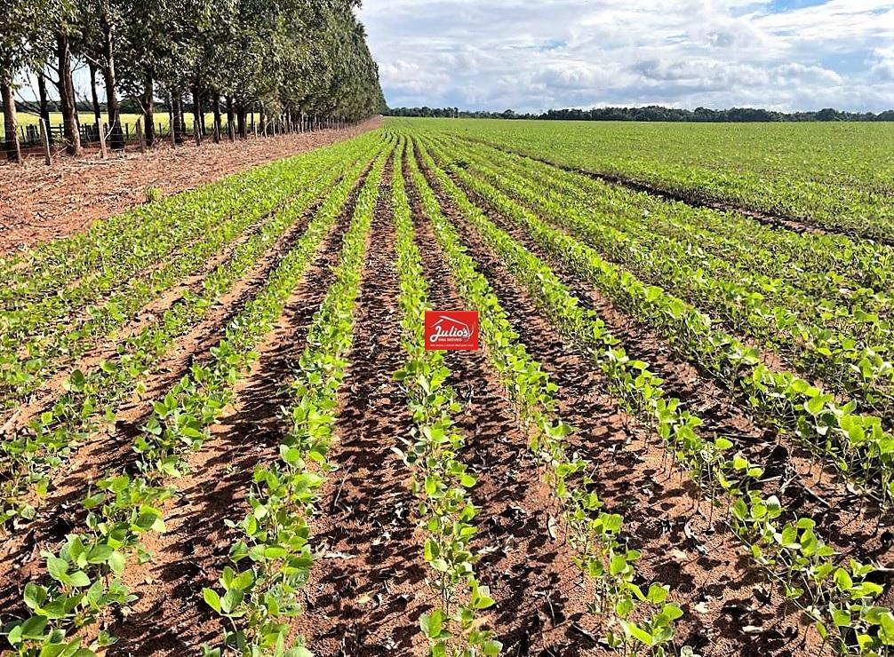 Propriedade rural em Araguaína — 17.000 ha — foto 1 de 2