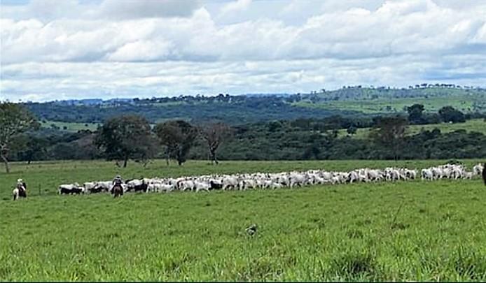 Propriedade rural em Primavera do Leste — 21.000 ha — foto 1 de 2
