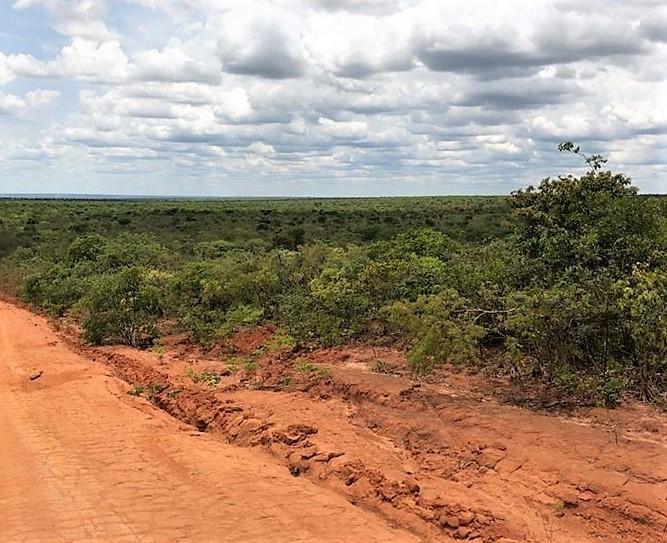 Propriedade rural em Bonito de Minas — 29.000 ha — foto 1 de 2