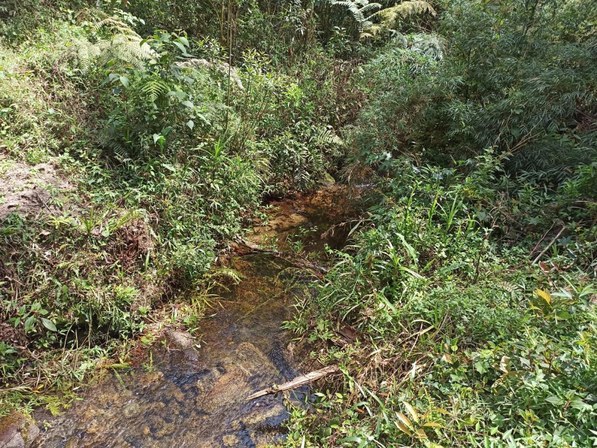 Propriedade rural em Cunha — 22 ha — foto 1 de 12