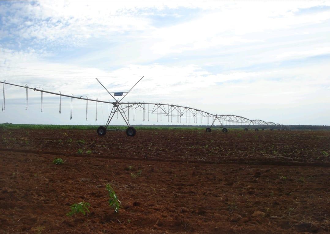 Propriedade rural em Araguaçu — 1.815 ha — foto 1 de 12