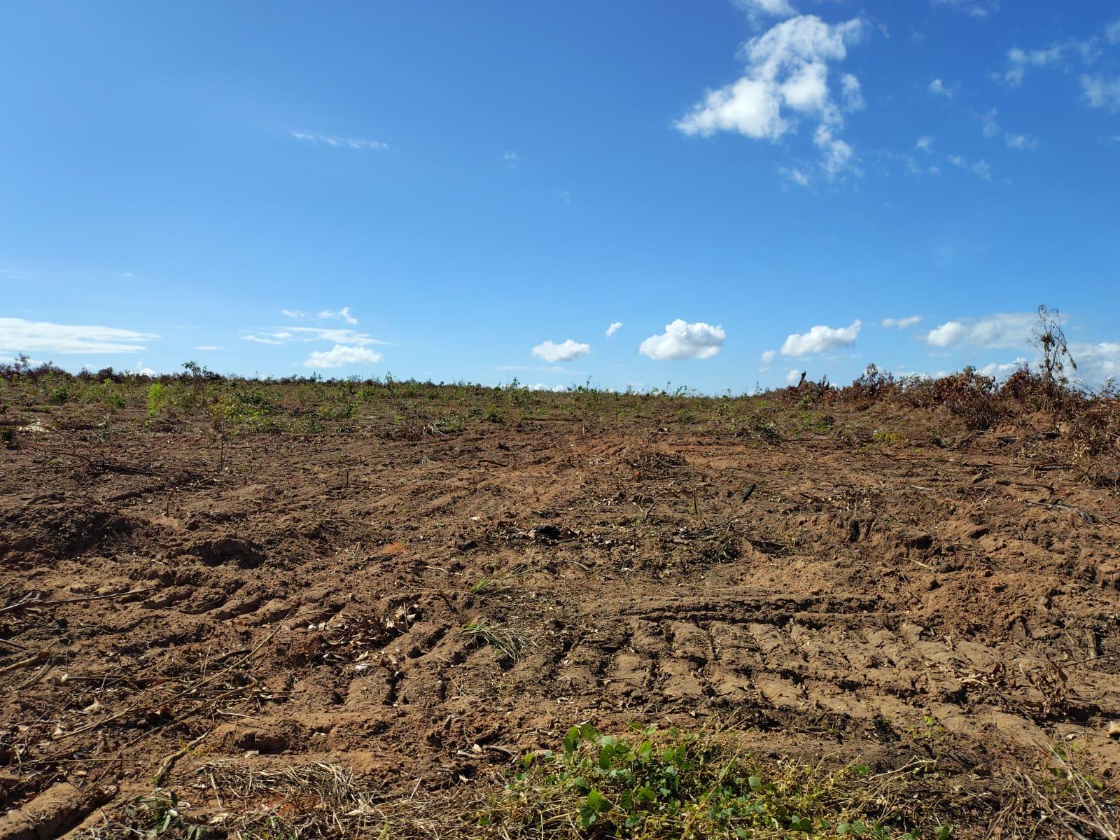 Propriedade rural em Goiatins — 740 ha — foto 1 de 12