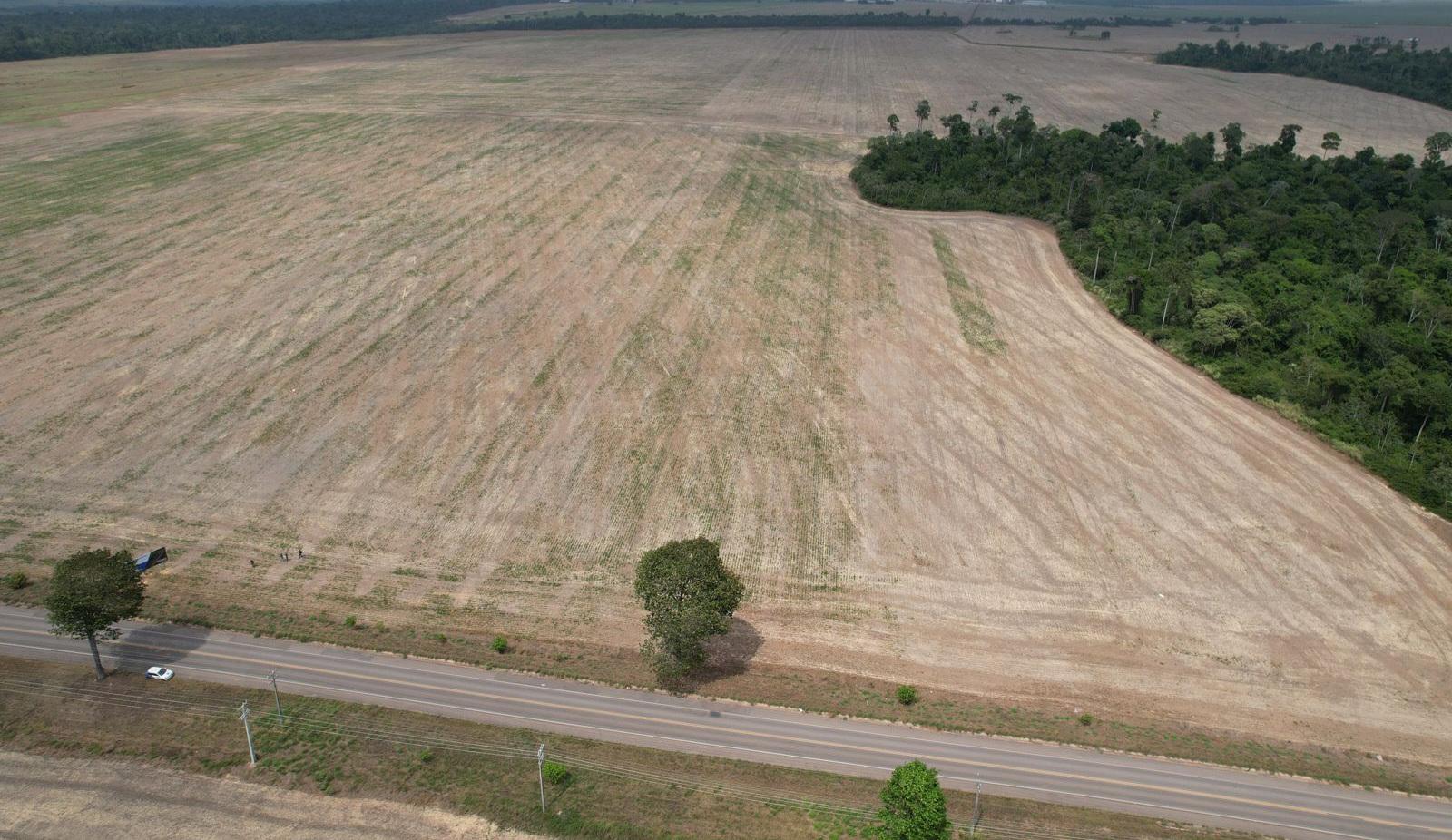 Propriedade rural em Paragominas — 14 ha — foto 1 de 5