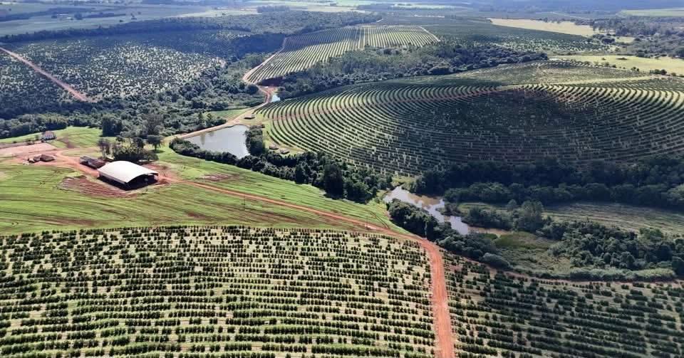 Propriedade rural em Avaré — 510 ha — foto 1 de 12