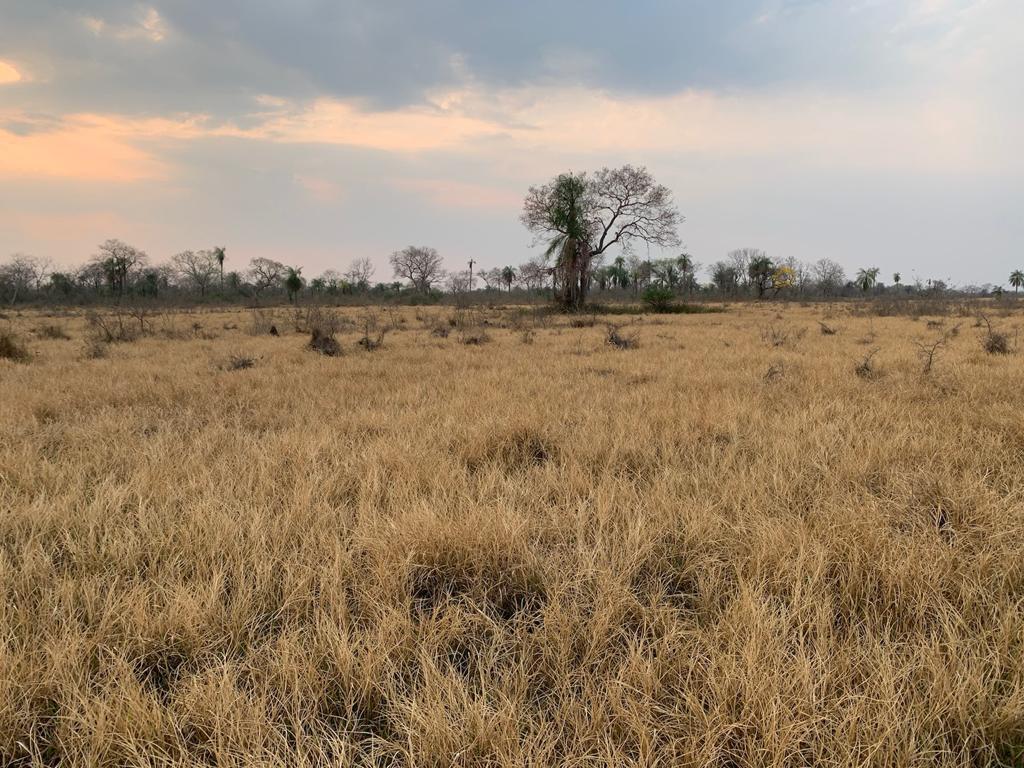 Propriedade rural em Porto Murtinho — 7.950 ha — foto 1 de 12