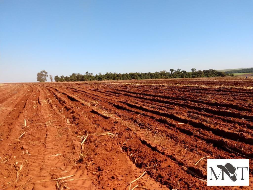 Propriedade rural em Rancharia — 2.979 ha — foto 1 de 12
