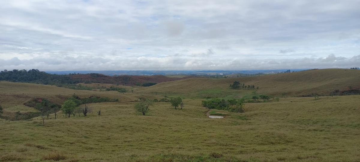 Propriedade rural em Canas — 17 ha — foto 1 de 2