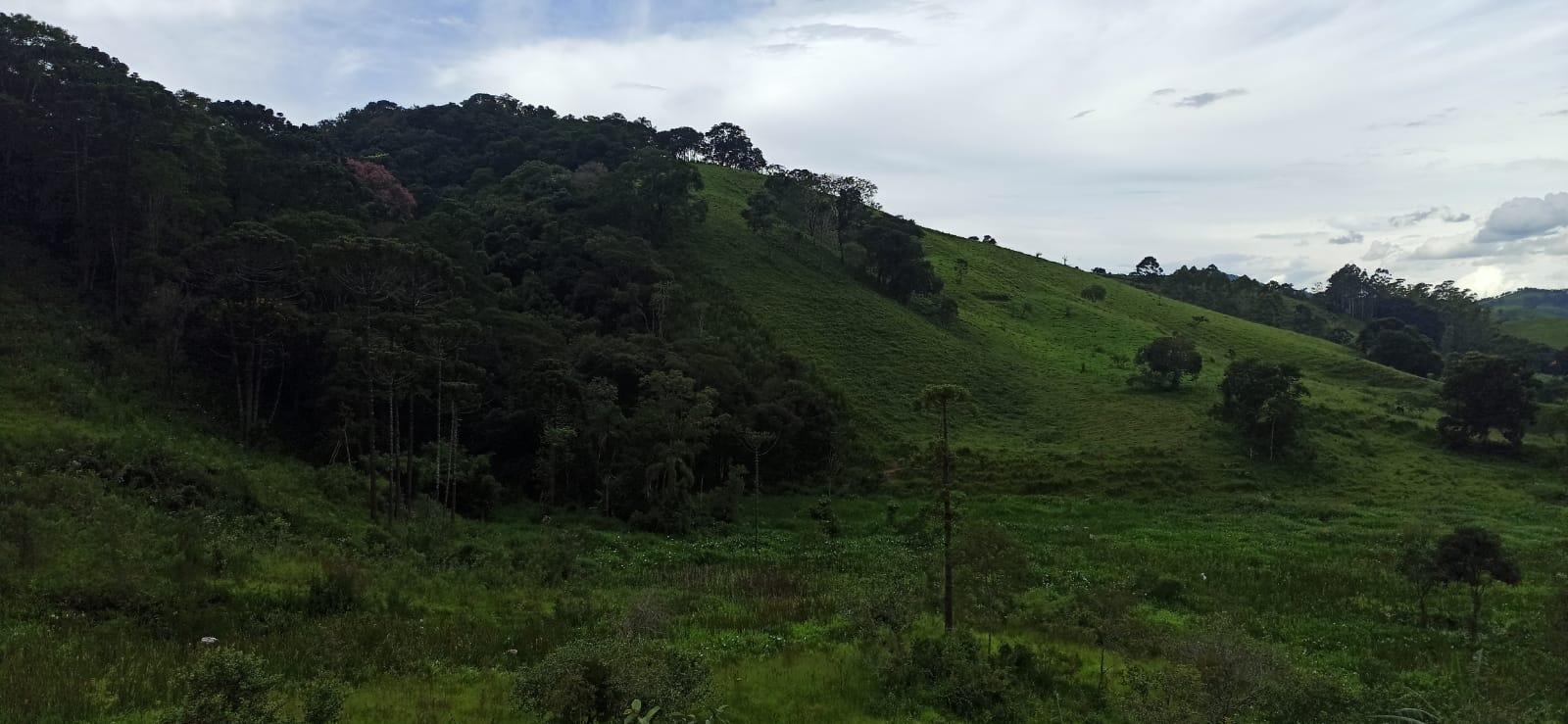 Propriedade rural em Guaratinguetá — 15 ha — foto 1 de 8