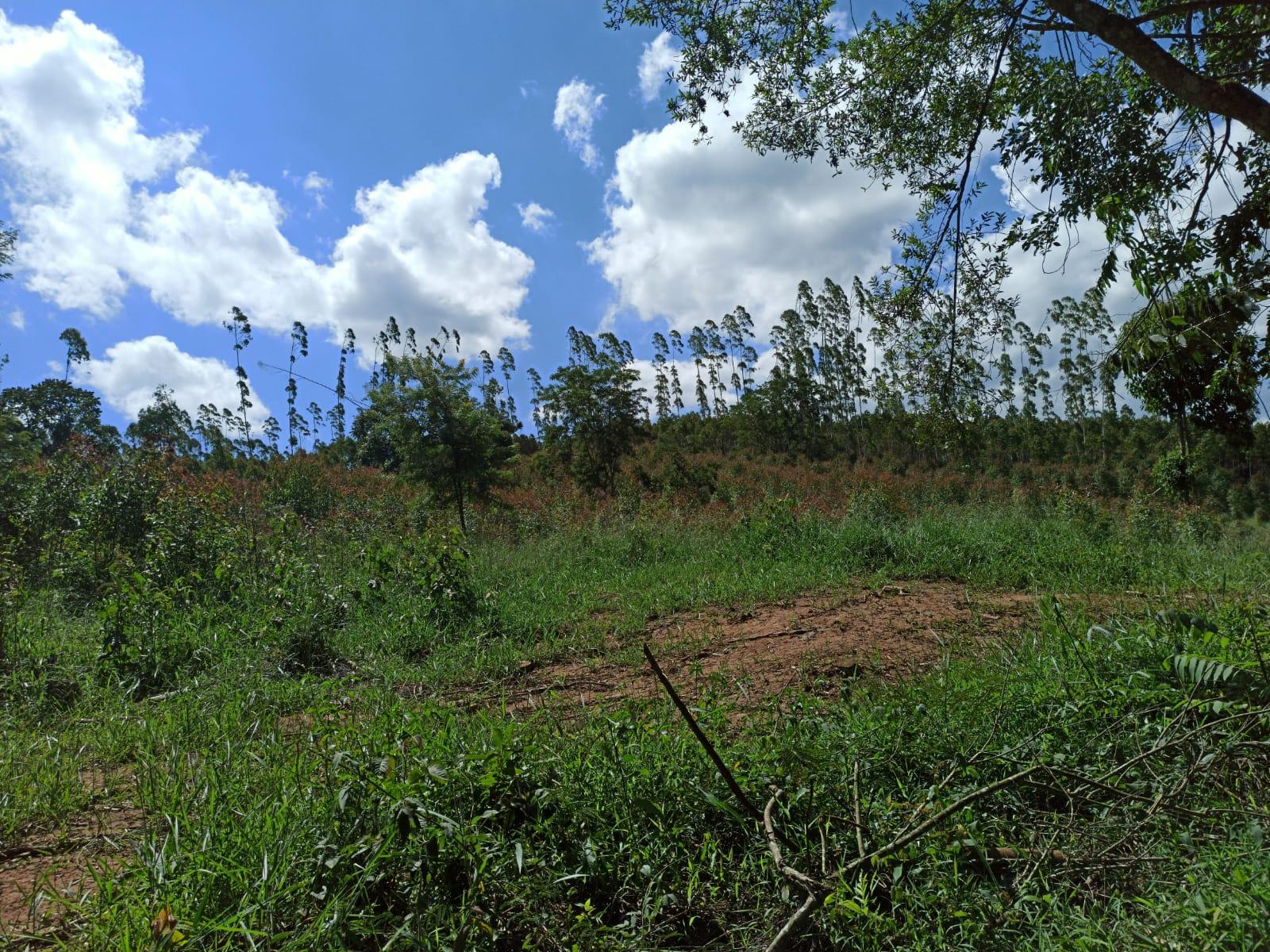 Propriedade rural em Lagoinha — 15 ha — foto 1 de 12