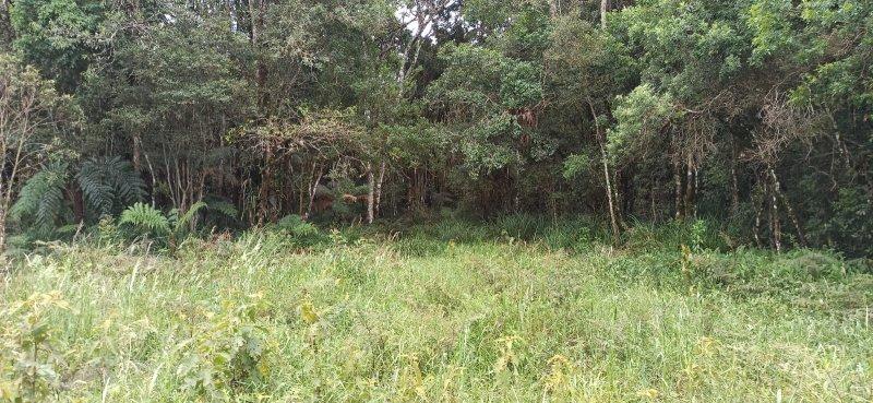 Propriedade rural em Cunha — 5 ha — foto 1 de 12