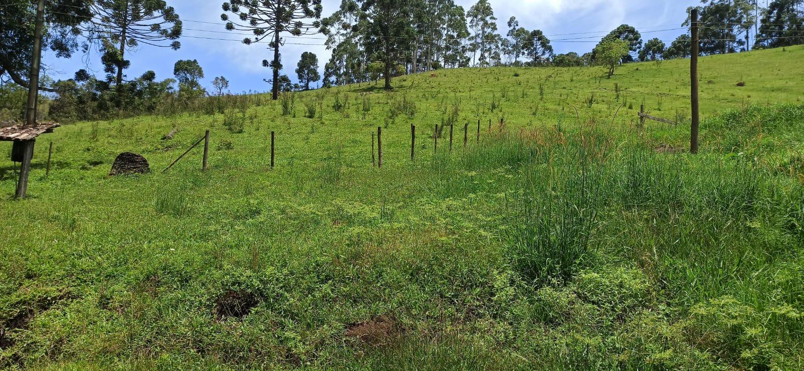 Propriedade rural em Cunha — 16 ha — foto 1 de 12