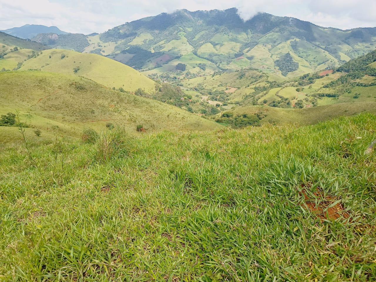 Propriedade rural em Delfim Moreira — 5 ha — foto 1 de 12