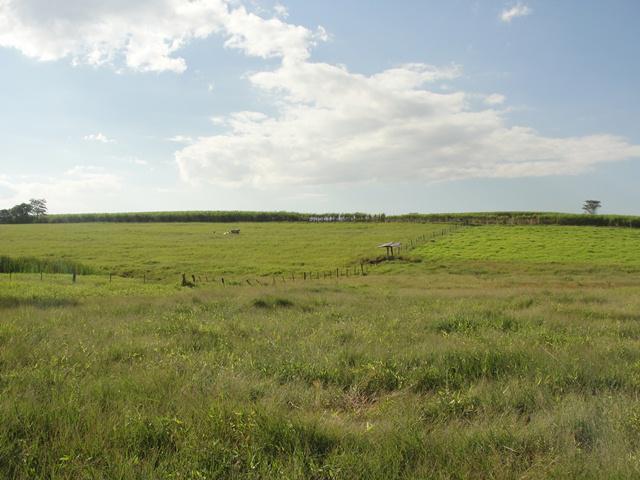 Propriedade rural em Tatuí — 172 ha — foto 1 de 12