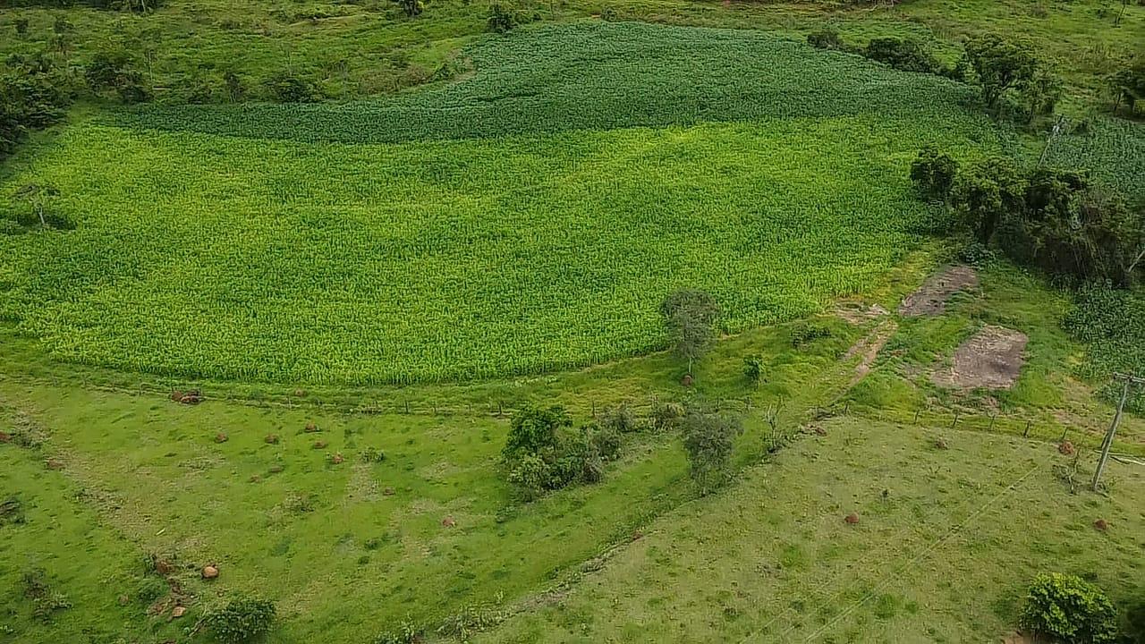 Propriedade rural em Canas — 123 ha — foto 1 de 3
