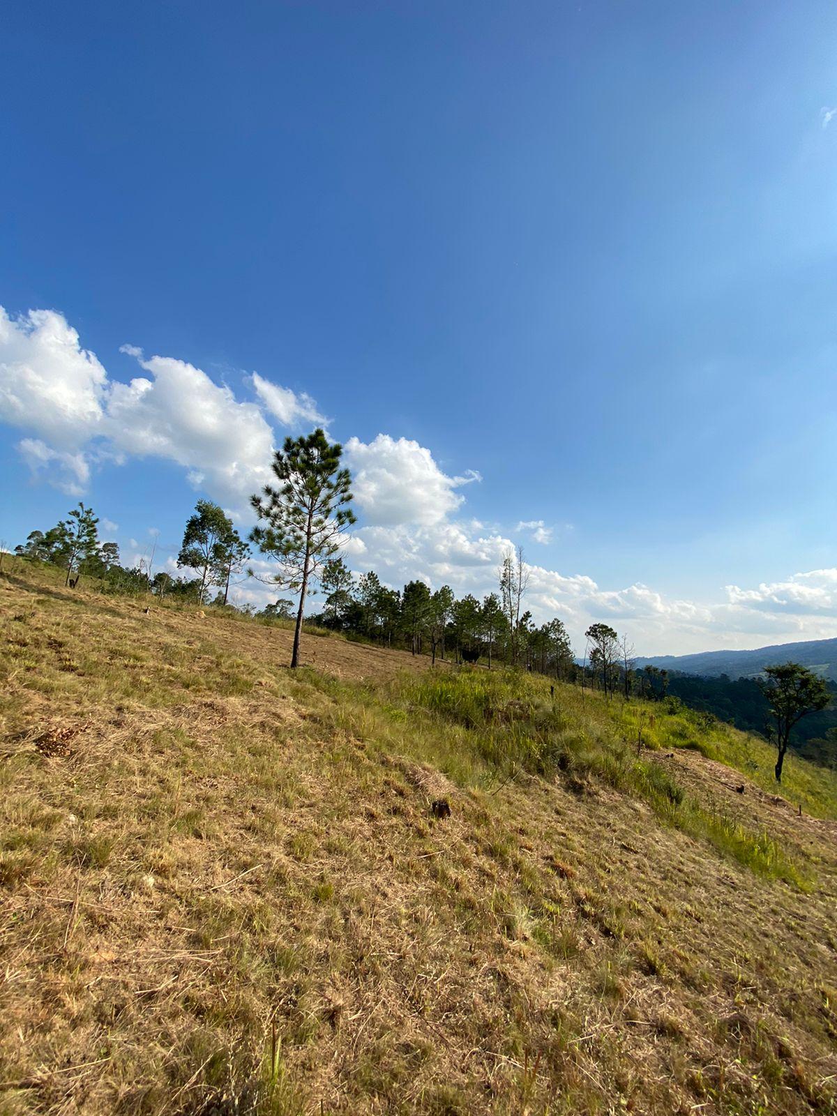 Propriedade rural em Mairiporã — 1.000 m² — foto 1 de 12