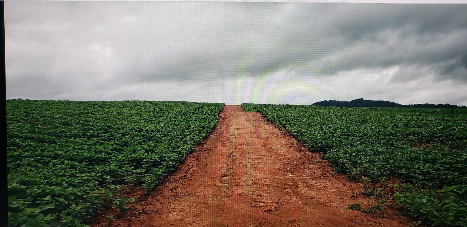 Propriedade rural em Mococa — 1.200 ha — foto 1 de 12
