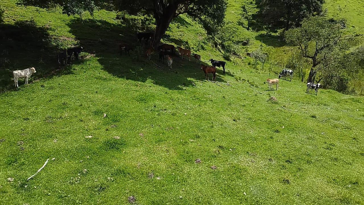 Propriedade rural em Cunha — 19 ha — foto 1 de 9
