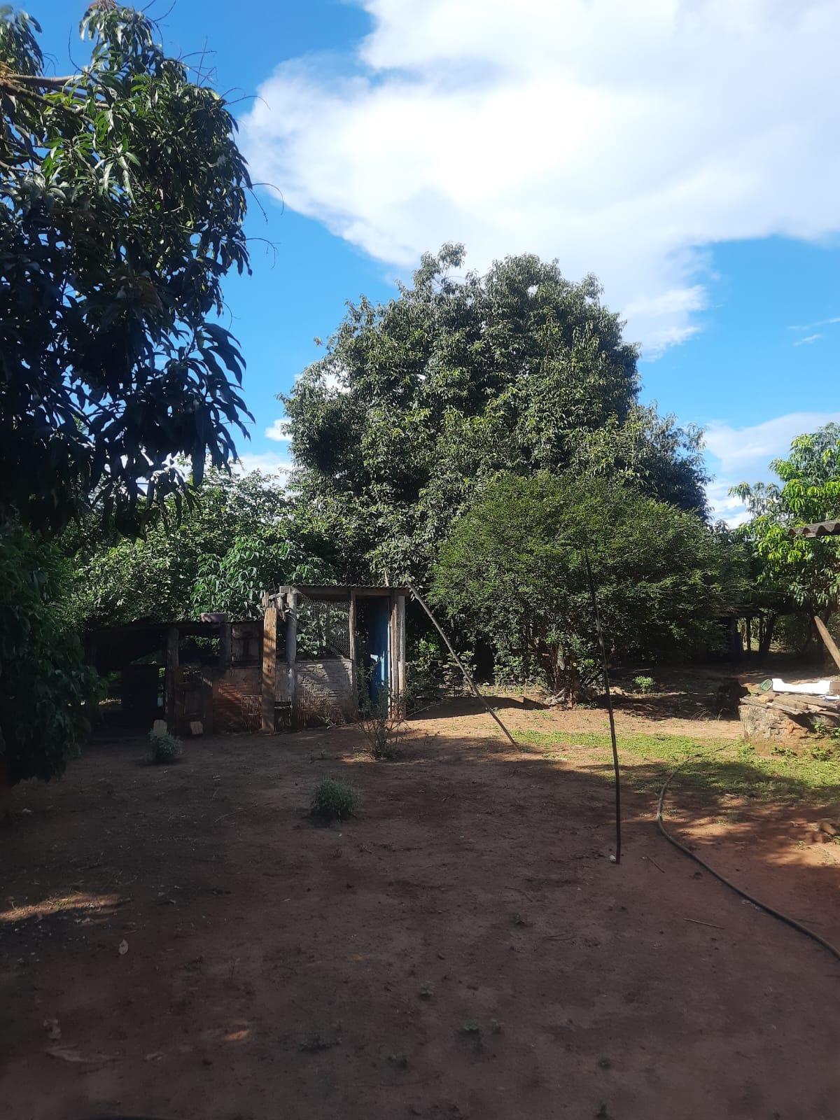 Propriedade rural em Arinos — 24 ha — foto 1 de 12