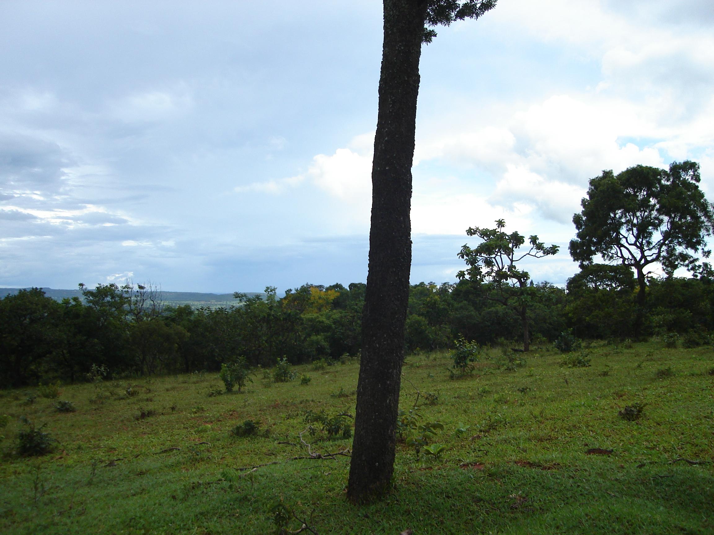 Propriedade rural em Prata — 16 ha — foto 1 de 6