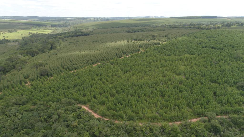 Propriedade rural em Águas de Santa Bárbara — 1.270 ha — foto 1 de 7