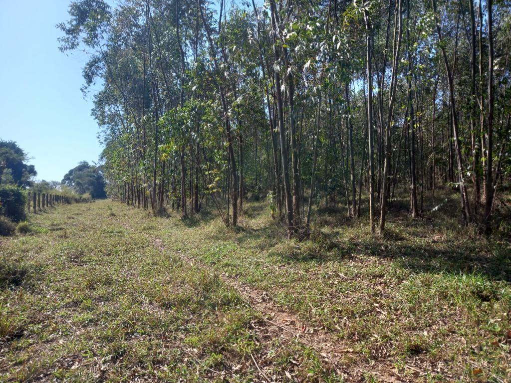 Propriedade rural em Itapetininga — 10 ha — foto 1 de 11