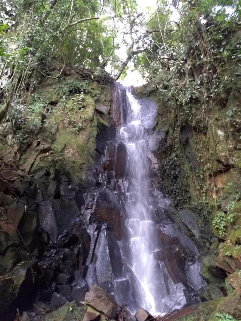 Propriedade rural em Itatinga — 24 ha — foto 1 de 3
