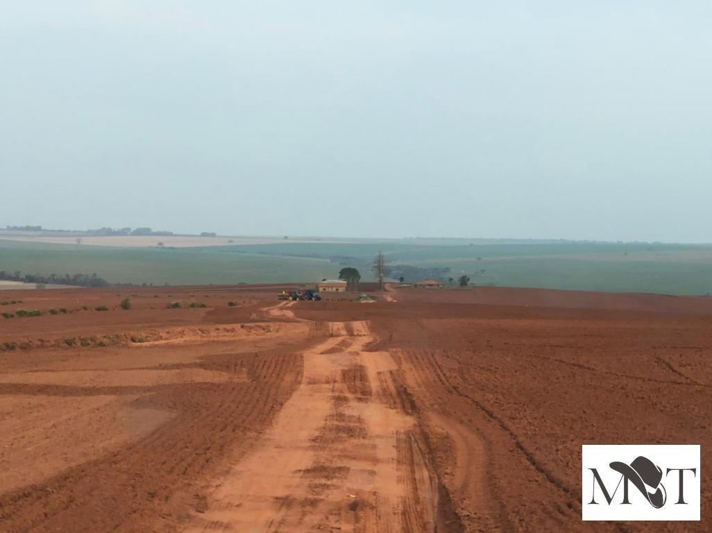 Propriedade rural em Rancharia — 850 ha — foto 1 de 12