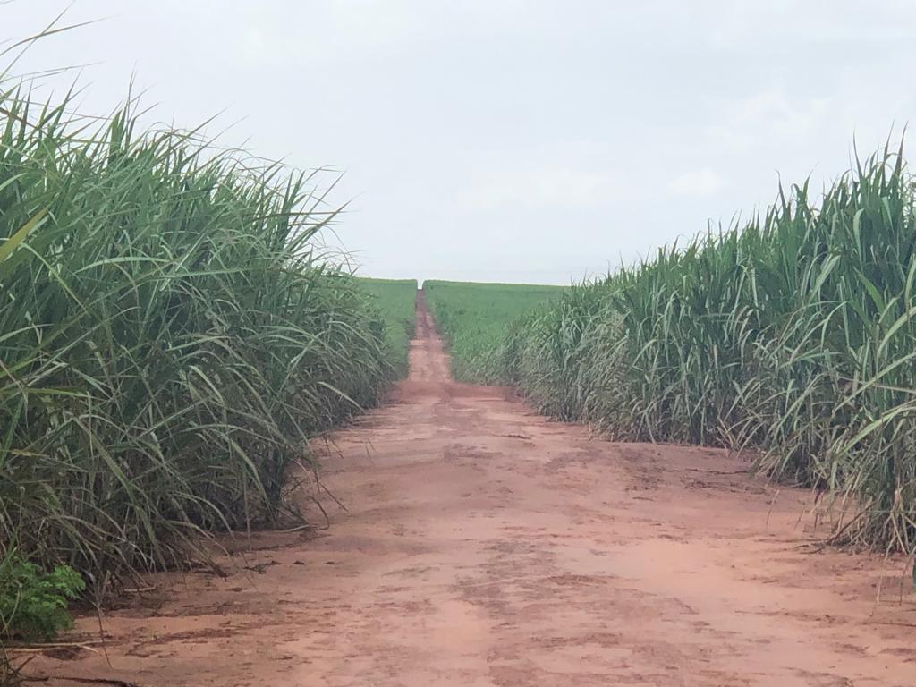 Propriedade rural em Santa Cruz do Rio Pardo — 1.716 ha — foto 1 de 12
