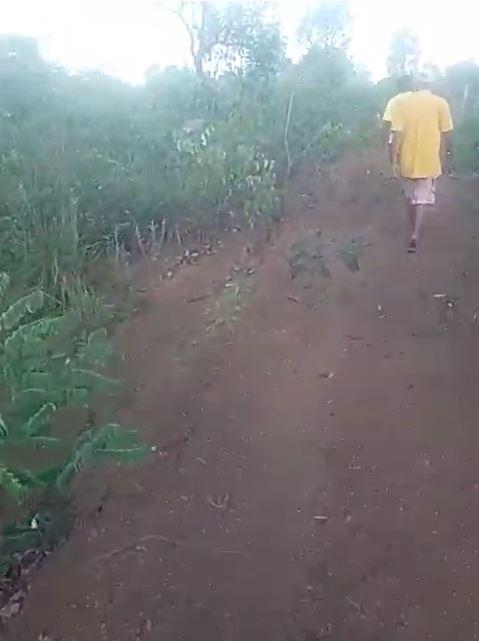 Propriedade rural em Fernando Falcão — 1.600 ha — foto 1 de 2
