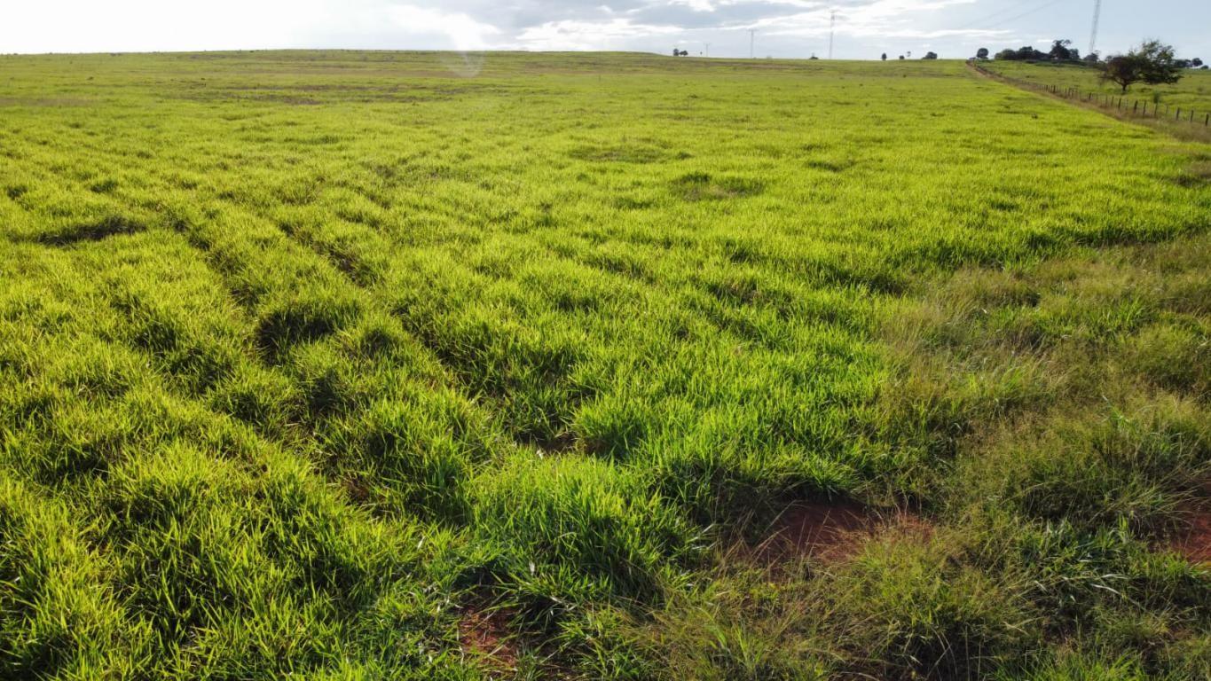 Propriedade rural em Santana do Araguaia — 4.850 ha — foto 1 de 11