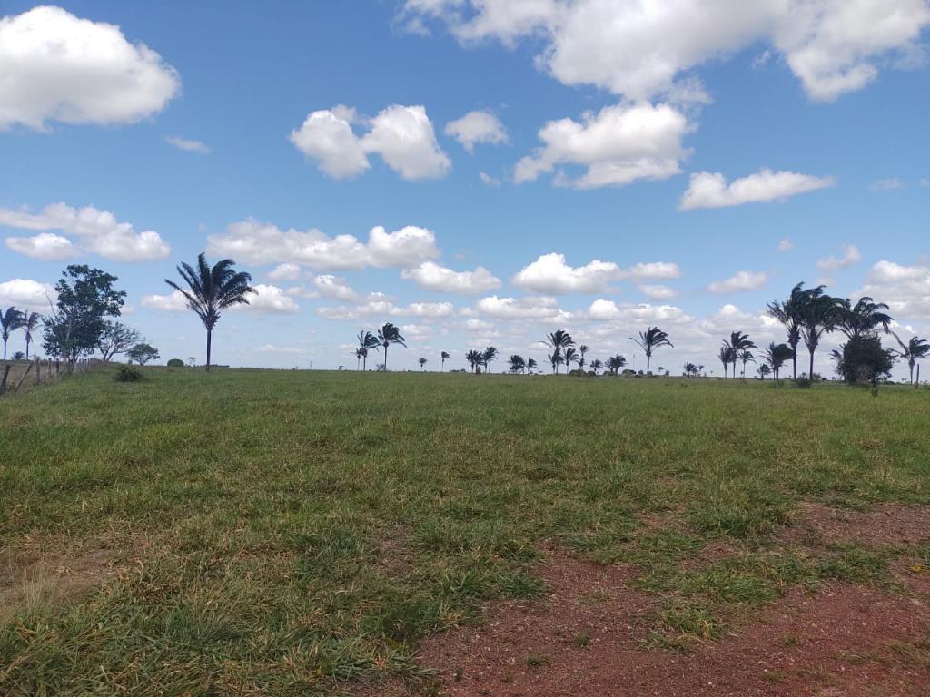 Propriedade rural em Arapoema — 5.000 ha — foto 1 de 12