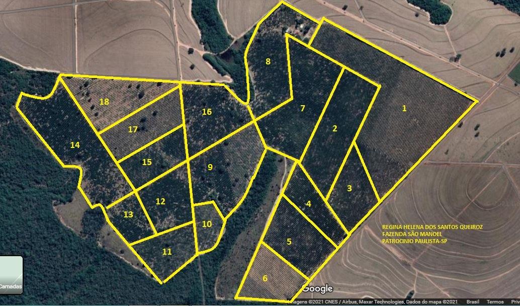 Propriedade rural em Patrocínio Paulista — 150 ha — foto 1 de 3