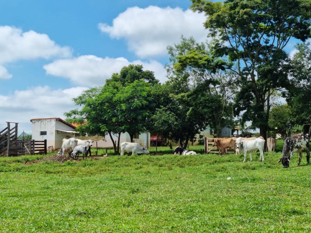 Propriedade rural em Porangaba — 7 ha — foto 1 de 8